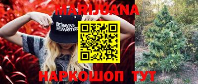 сатива Конаково