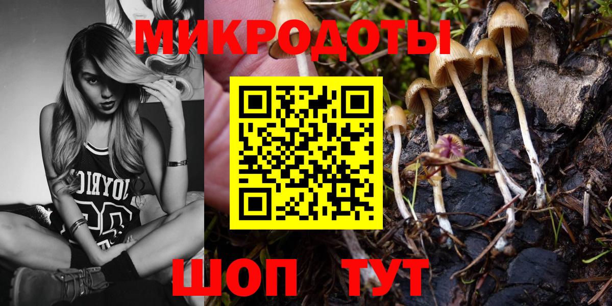 Галлюциногенные грибы Psilocybine cubensis Кириши